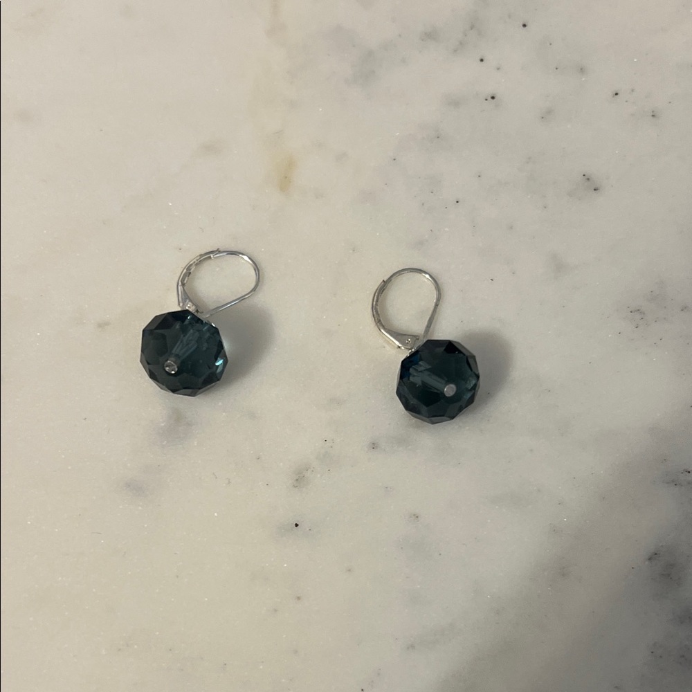 Elegant Silver and Black Crystal Earrings